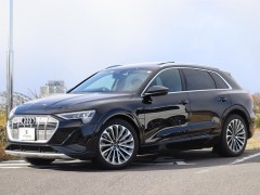 Audi e-tron e-tron 50 quattro (12.2020 - 08.2022)