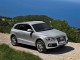 Характеристики автомобиля Audi Q5 2.0 TFSI quattro MT (07.2009 - 08.2012): фото, вместимость, скорость, двигатель, топливо, масса, отзывы