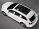 Характеристики автомобиля Audi Q7 3.0 TDI quattro tiptronic (10.2007 - 08.2009): фото, вместимость, скорость, двигатель, топливо, масса, отзывы