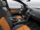 Характеристики автомобиля Audi Q7 3.0 TDI quattro tiptronic (10.2007 - 08.2009): фото, вместимость, скорость, двигатель, топливо, масса, отзывы