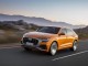 Характеристики автомобиля Audi Q8 3.0 45 TDI quattro tiptronic Design (04.2019 - 12.2022): фото, вместимость, скорость, двигатель, топливо, масса, отзывы