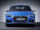 Характеристики автомобиля Audi S5 3.0 TDI quattro tiptronic (05.2019 - 06.2020): фото, вместимость, скорость, двигатель, топливо, масса, отзывы
