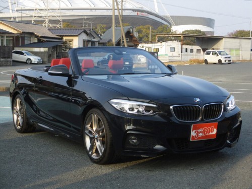 Характеристики автомобиля BMW 2-Series 220i Luxury (01.2019 - 01.2021): фото, вместимость, скорость, двигатель, топливо, масса, отзывы
