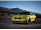 Характеристики автомобиля BMW M4 3.0 AMT 100 Years Edition (04.2016 - 10.2016): фото, вместимость, скорость, двигатель, топливо, масса, отзывы