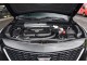 Характеристики автомобиля Cadillac XT4 2.0T AT 28T Luxury (07.2020 - 11.2021): фото, вместимость, скорость, двигатель, топливо, масса, отзывы