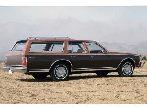 Характеристики автомобиля Chevrolet Caprice 5.0 AT Caprice Classic Wagon (10.1978 - 09.1979): фото, вместимость, скорость, двигатель, топливо, масса, отзывы