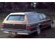 Характеристики автомобиля Chevrolet Caprice 5.0 AT Caprice Classic Wagon (10.1982 - 09.1983): фото, вместимость, скорость, двигатель, топливо, масса, отзывы