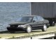 Характеристики автомобиля Chevrolet Lumina 3.1 AT Lumina (05.1996 - 04.1999): фото, вместимость, скорость, двигатель, топливо, масса, отзывы