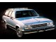 Характеристики автомобиля Chevrolet Malibu 3.8 MT Malibu (09.1980 - 08.1981): фото, вместимость, скорость, двигатель, топливо, масса, отзывы
