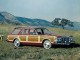 Характеристики автомобиля Chrysler Le Baron 5.9 AT Medallion (04.1978 - 12.1979): фото, вместимость, скорость, двигатель, топливо, масса, отзывы