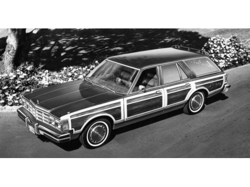 Характеристики автомобиля Chrysler Le Baron 5.9 AT Medallion (04.1978 - 12.1979): фото, вместимость, скорость, двигатель, топливо, масса, отзывы