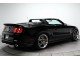 Характеристики автомобиля Ford Mustang 5.0 AT Mustang GT Premium (07.2010 - 01.2012): фото, вместимость, скорость, двигатель, топливо, масса, отзывы