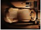 Характеристики автомобиля Lexus LC500 500 Aviation (01.2021 - 01.2021): фото, вместимость, скорость, двигатель, топливо, масса, отзывы