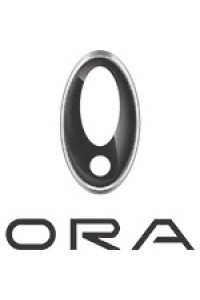 Легковые автомобили ORA: модельный ряд и характеристики