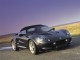 Характеристики автомобиля Lotus Elise 1.8 MT Sport 190 (01.1999 - 10.2000): фото, вместимость, скорость, двигатель, топливо, масса, отзывы