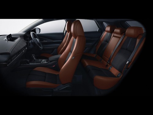 Характеристики автомобиля Mazda CX-30 2.0 X PROACTIVE Touring Selection 4WD (01.2020 - 11.2020): фото, вместимость, скорость, двигатель, топливо, масса, отзывы