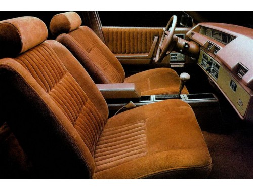 Характеристики автомобиля Pontiac 6000 2.5 AT 6000 LE (10.1982 - 09.1983): фото, вместимость, скорость, двигатель, топливо, масса, отзывы