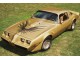 Характеристики автомобиля Pontiac Firebird 3.8 MT Firebird Esprit (10.1980 - 12.1981): фото, вместимость, скорость, двигатель, топливо, масса, отзывы