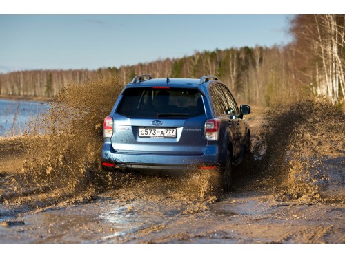 Характеристики автомобиля Subaru Forester 2.0i MT 1A Base (01.2017 - 01.2019): фото, вместимость, скорость, двигатель, топливо, масса, отзывы