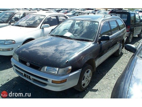 Характеристики автомобиля Toyota Corolla 1.6 touring wagon BZ touring (05.1996 - 04.1997): фото, вместимость, скорость, двигатель, топливо, масса, отзывы